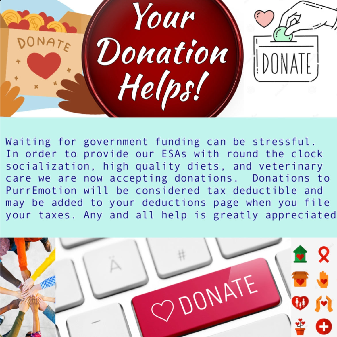 Looking for a charity? This tax deductible donation goes towards our ultimate goal which is to donate our Persian kitten ESAs at no cost to patients worldwide. Please Read Details below⬇️