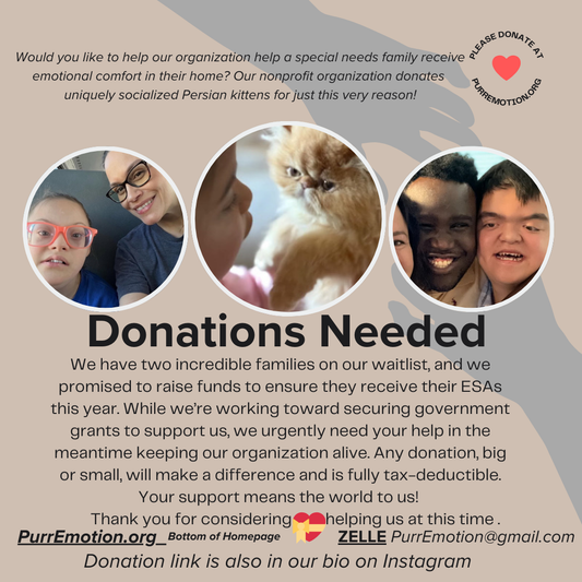 Looking for a charity? This tax deductible donation goes towards our ultimate goal which is to donate our Persian kitten ESAs at no cost to patients worldwide. Please Read Details below⬇️