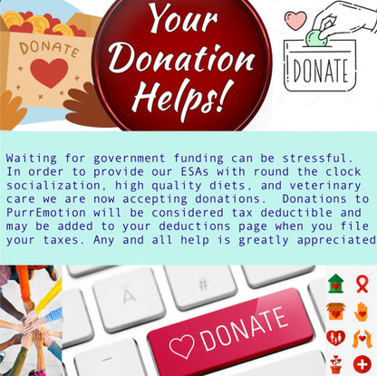 Looking for a charity? This tax deductible donation goes towards our ultimate goal which is to donate our Persian kitten ESAs at no cost to patients worldwide. Please Read Details below⬇️